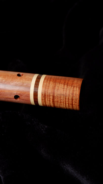 Tasmanian Myrtle flute - G 432Hz