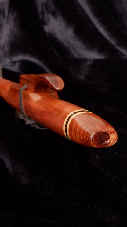 Tasmanian Myrtle flute - G 432Hz